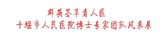 十堰市人民医院博士专家团队风采展之四