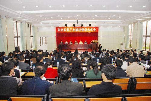 我院成功举办湖北省第三次腹腔镜学术年会