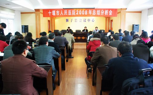 我院2008年工作总结分析会隆重召开