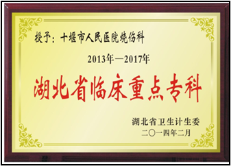 十堰市人民医院烧伤整形外科（医学美容科）2018大事回顾