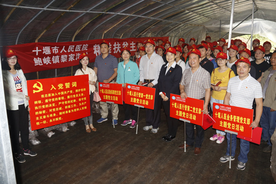 市人民医院深入扶贫村创新开展主题党日活动