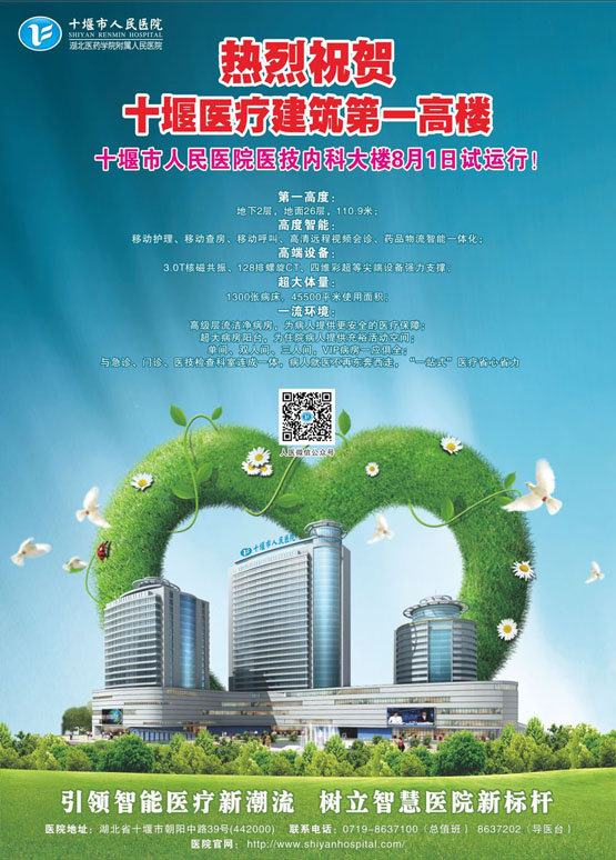 写在十堰市人民医院医技内科大楼试运行之际(下)
