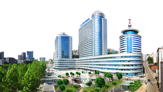 环境改善：造就以病人为中心的亮丽风景线